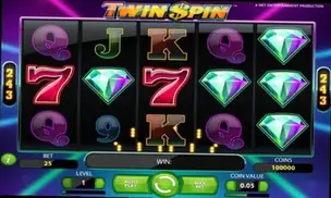 Twin Spin
